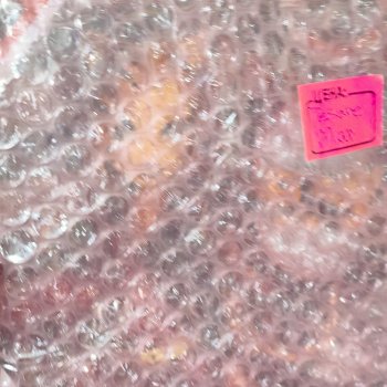 Пополнение в кошачьем царстве