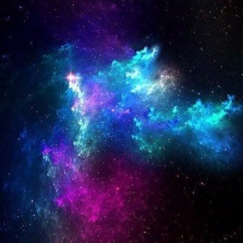 О цветах и выборе.