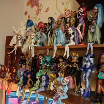 Новая полка