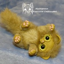 Кто сказал что я котенок? Я ведь тигр! Точно знаю, я разгоню стаю... Котик Бон-с