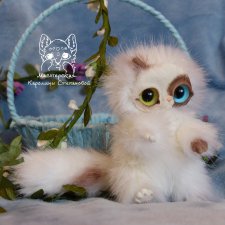 Котики и только котики