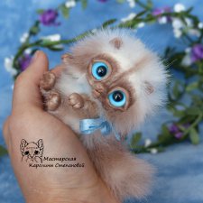 Сиамский котенок, пушистик, миниатюра