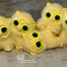 Коты Мирисы из Архива 2017 года