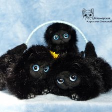 Черные котятки(персы), маленькие злобики