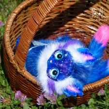 Кото-Стражницы космоса бродили по земле... Первая летняя прогулка.