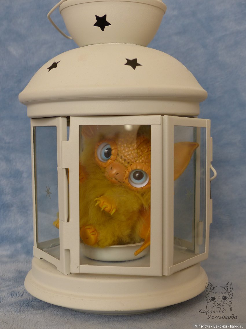 Драконоцып-проказник. История ручного дракона