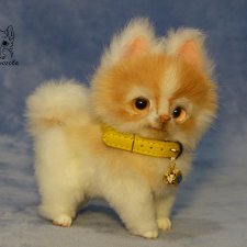 Щенок Хаски, Джейн