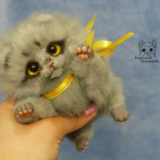 Котенок вислоухий