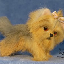 Щенок Йоркширского терьера