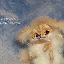 Малютка фенек. Архив 2017