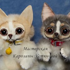 Чихуахуа, веселые собачки. Арихв 2016 год