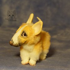 Щенок Бультерьера