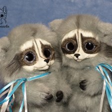 Сероглазые Еноты