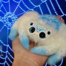 Паучок художник и его история