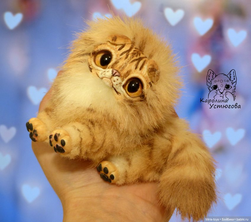 Шотландские вислоухие котята. Табби и Мрамор