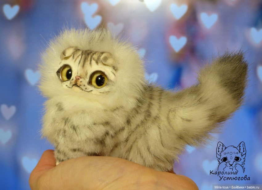 Шотландские вислоухие котята. Табби и Мрамор