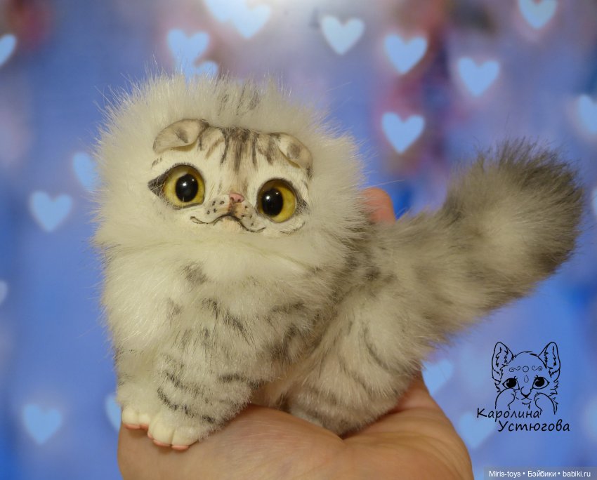 Шотландские вислоухие котята. Табби и Мрамор