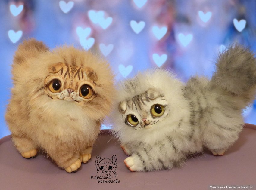Шотландские вислоухие котята. Табби и Мрамор