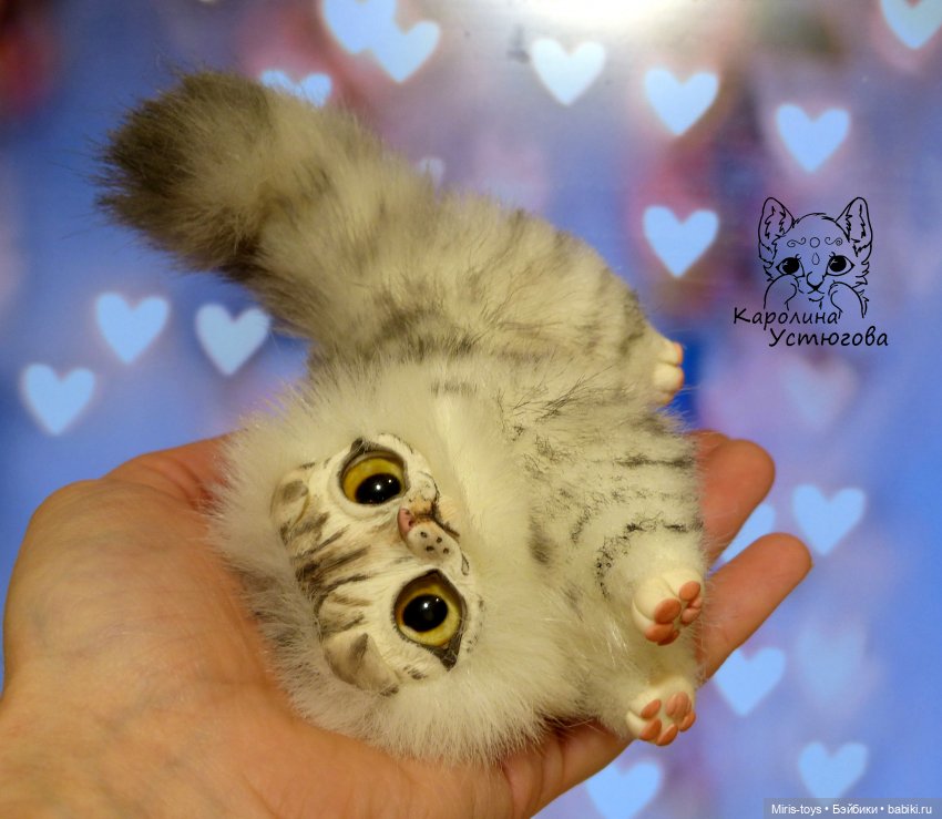 Шотландские вислоухие котята. Табби и Мрамор