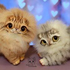 Шотландские вислоухие котята. Табби и Мрамор.