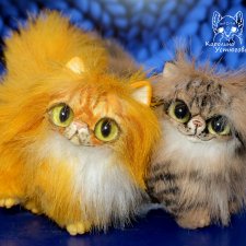 Персидские котята Брауни и Красный табби