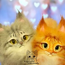 Котята Мейн-Куна