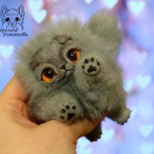 Шотландский вислоухий котенок , моно колор серый. Шотландский вислоухий котенок , моно колор серый.