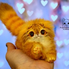 Шотландский вислоухий котенок , Красный табби. Шотландский вислоухий котенок , Красный табби.