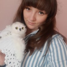 Полярные совы. Стремящиеся в полет