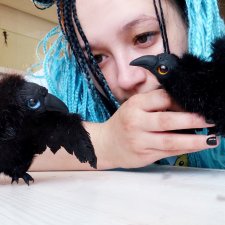 Сидела и считала.. Ворон раз, ворон два