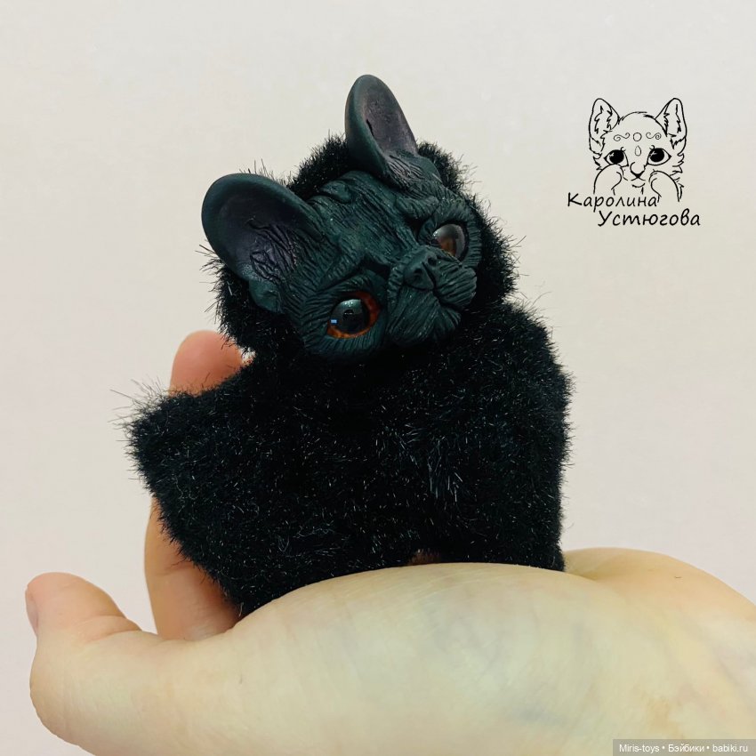 Французские бульдоги, Щеночки (фото 2)