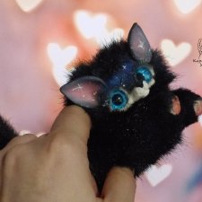 Загадочный лисенок ночи.