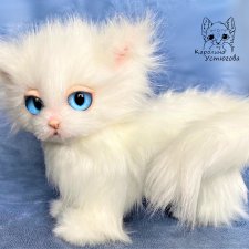 Кошечка Глория