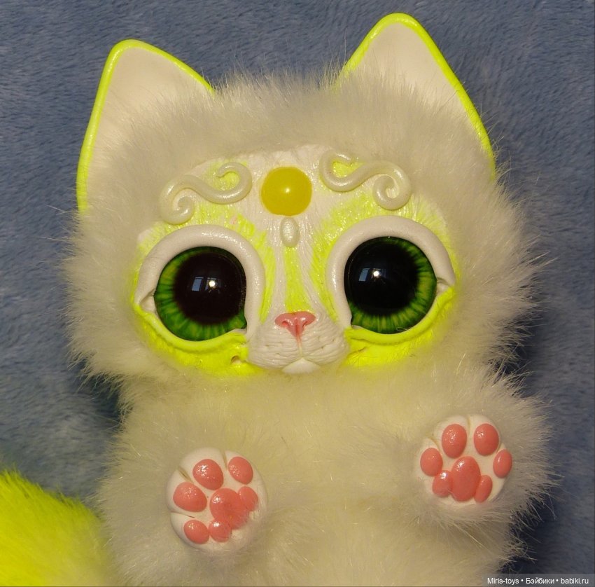 Королевский волшебный кот, породы: Мирис. Лимончик