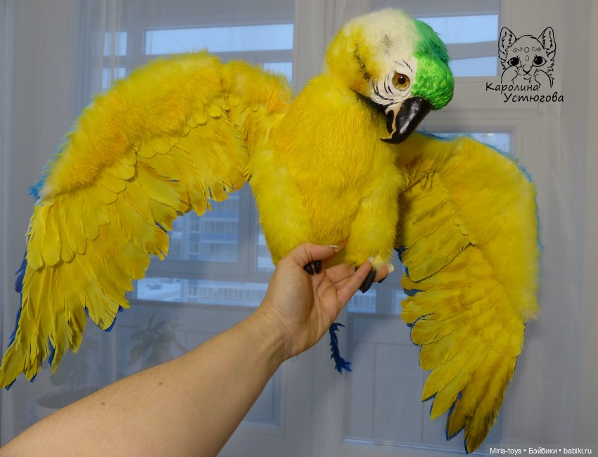 Застенчивый Ара — Игрушки в смешанной технике (мех и глина): Арт (фото 6)