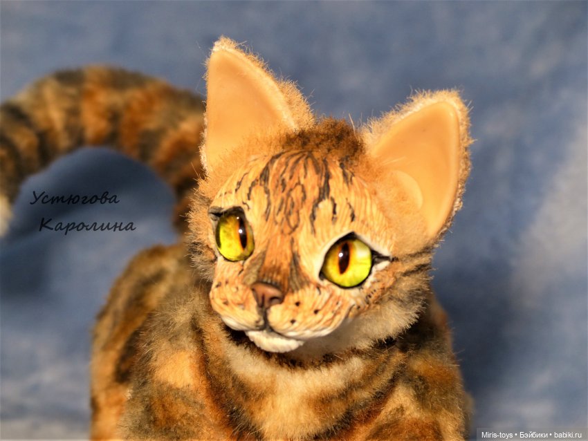 Портретный котик — Игрушки в смешанной технике (мех и глина): Арт (фото 2)