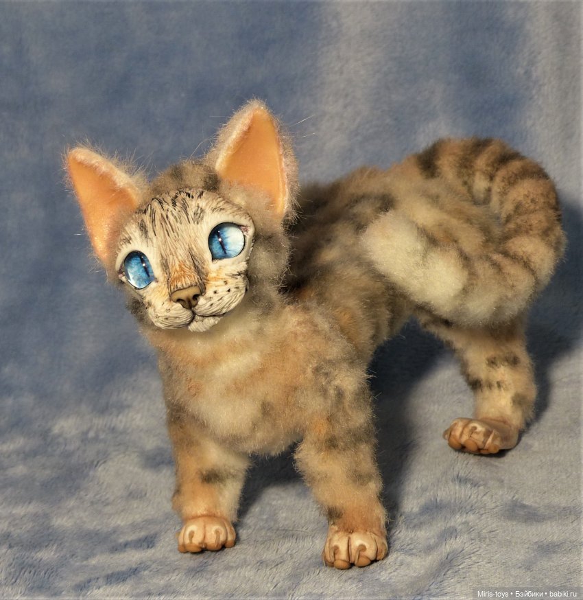 Еще один портретный котик