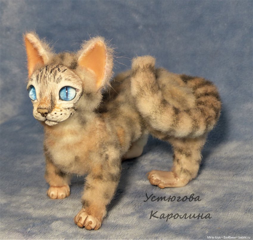 Еще один портретный котик (фото 5)