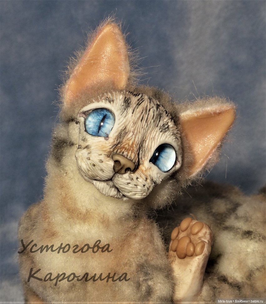 Еще один портретный котик (фото 9)