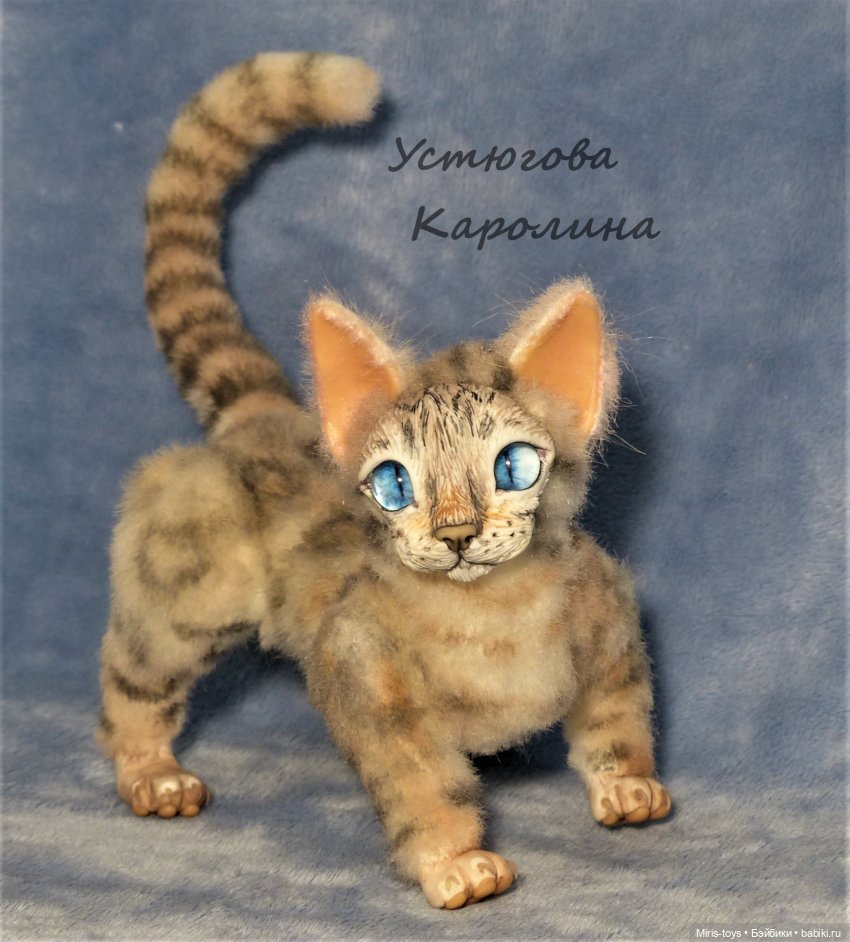 Еще один портретный котик