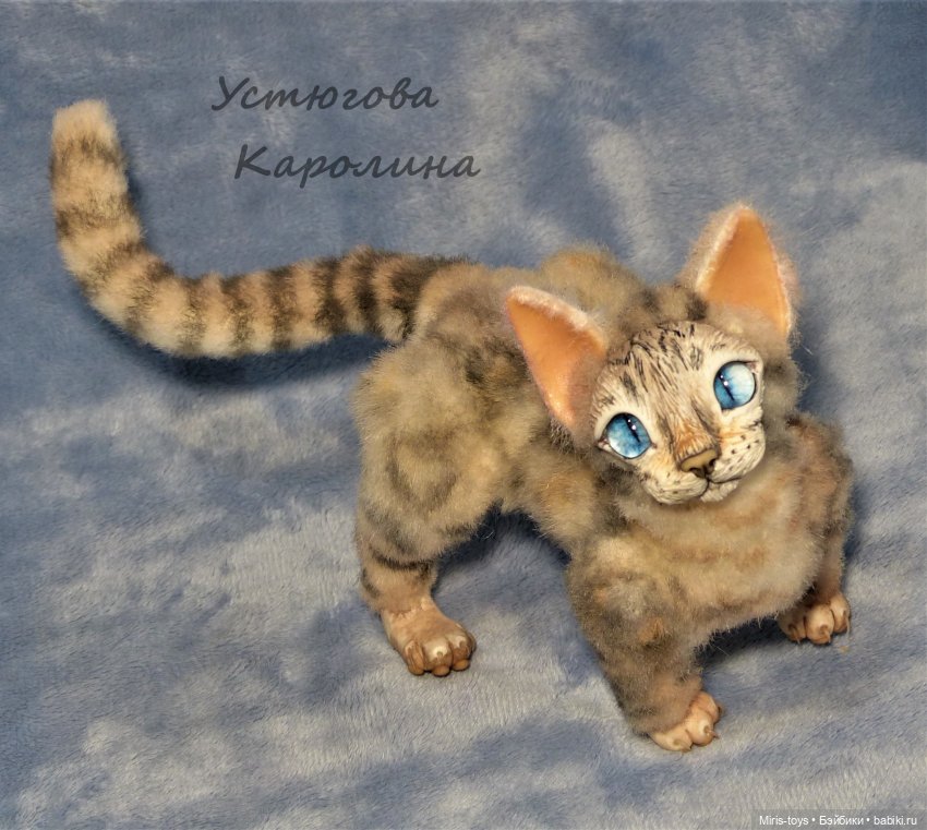 Еще один портретный котик (фото 3)