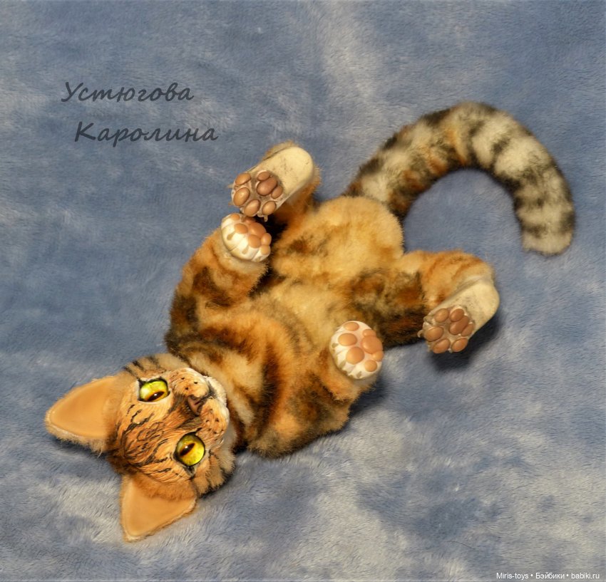 Портретный котик — Игрушки в смешанной технике (мех и глина): Арт (фото 4)