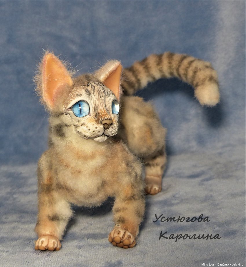 Еще один портретный котик