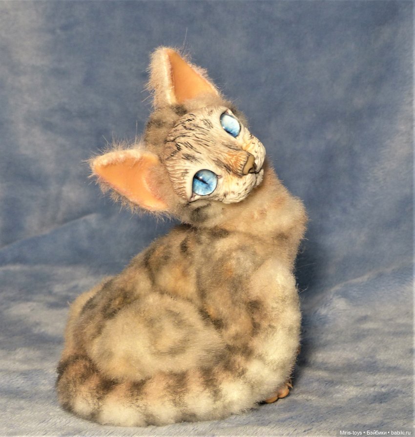 Еще один портретный котик