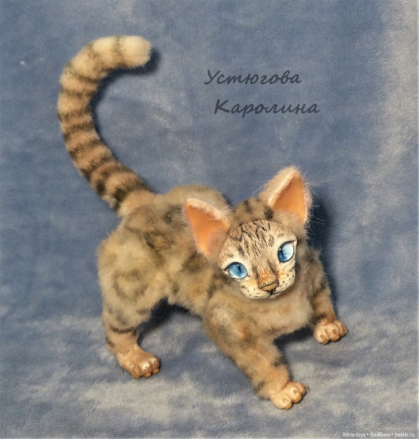 Еще один портретный котик