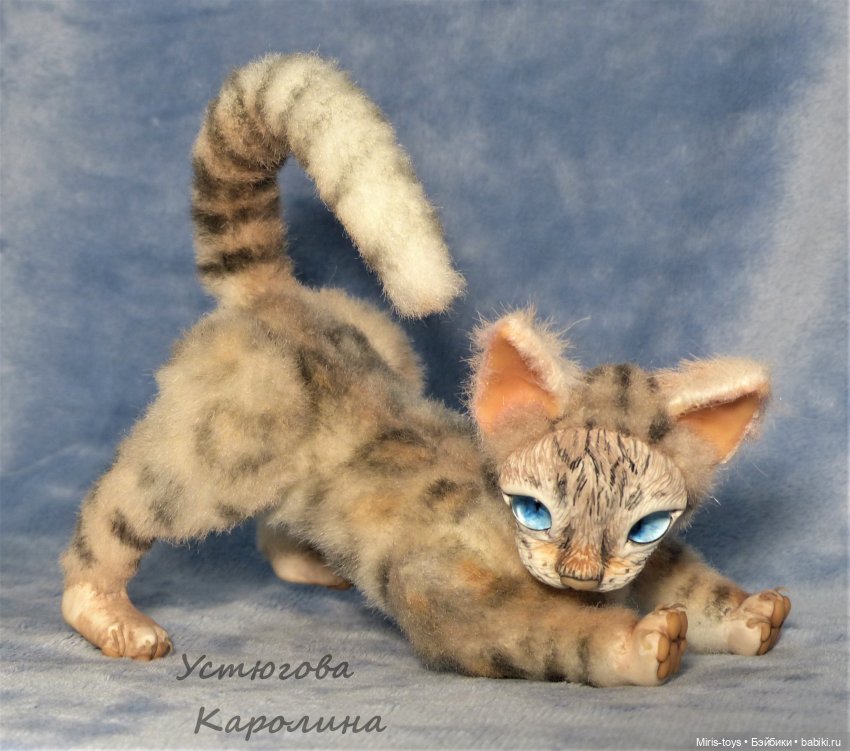 Еще один портретный котик