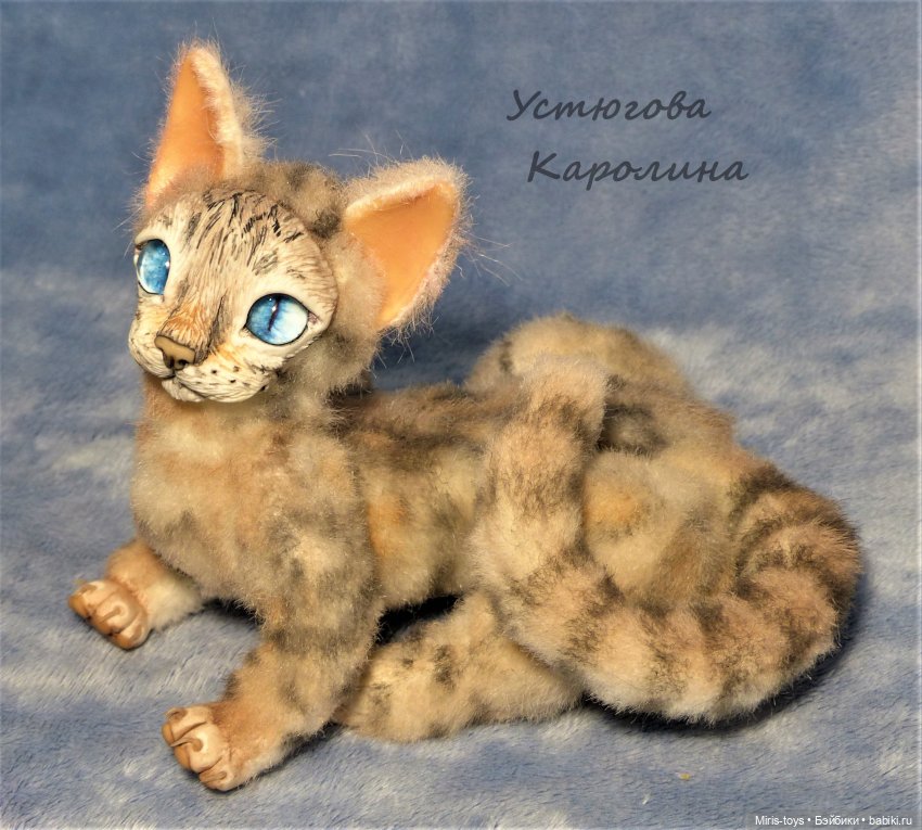 Еще один портретный котик (фото 7)