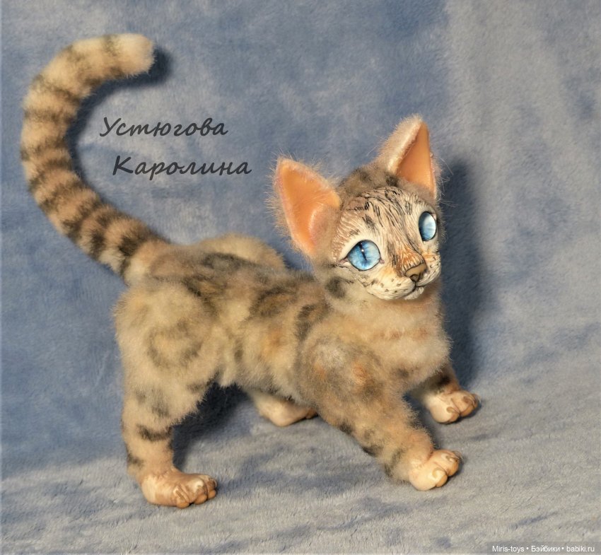 Еще один портретный котик