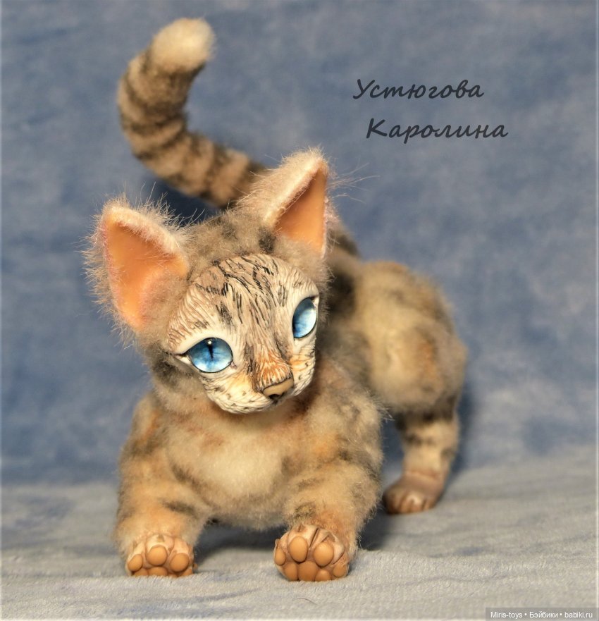 Еще один портретный котик (фото 4)