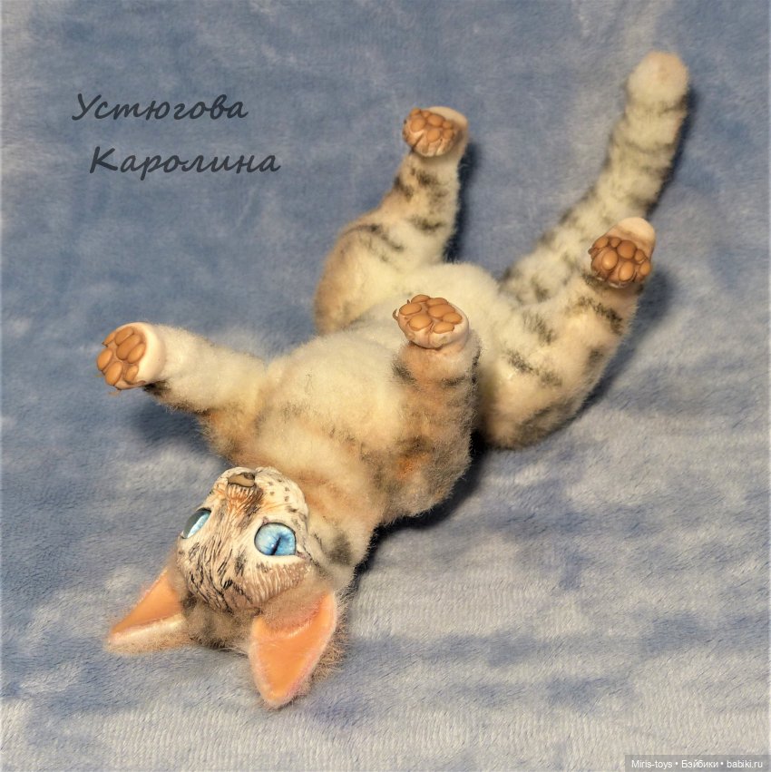 Еще один портретный котик